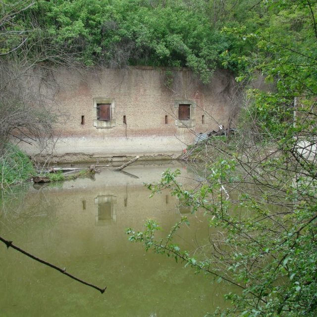 Fort V Stefanesti