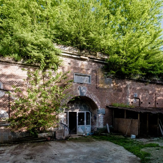 Battery 10-11 Leordeni
