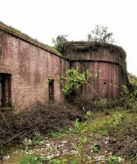 Battery 9-10 Catelu
