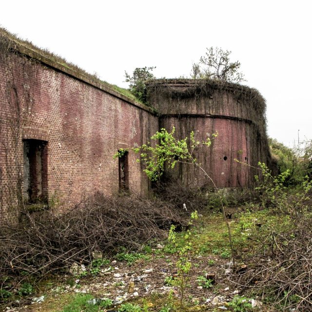 Battery 9-10 Catelu