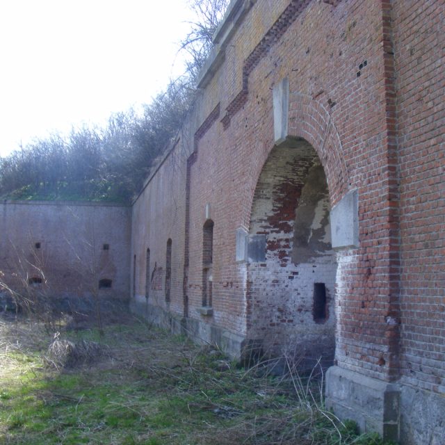 Fort XIV Broscariei