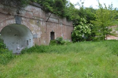 Fort XVII Domnesti