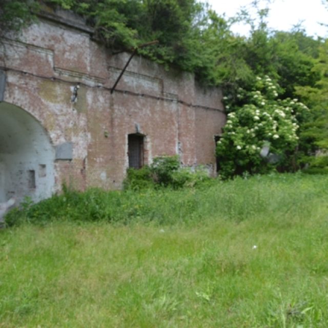 Fort XVII Domnesti