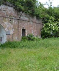 Fort XVII Domnesti