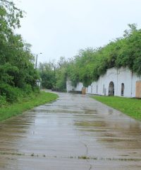 Fort XI Popesti